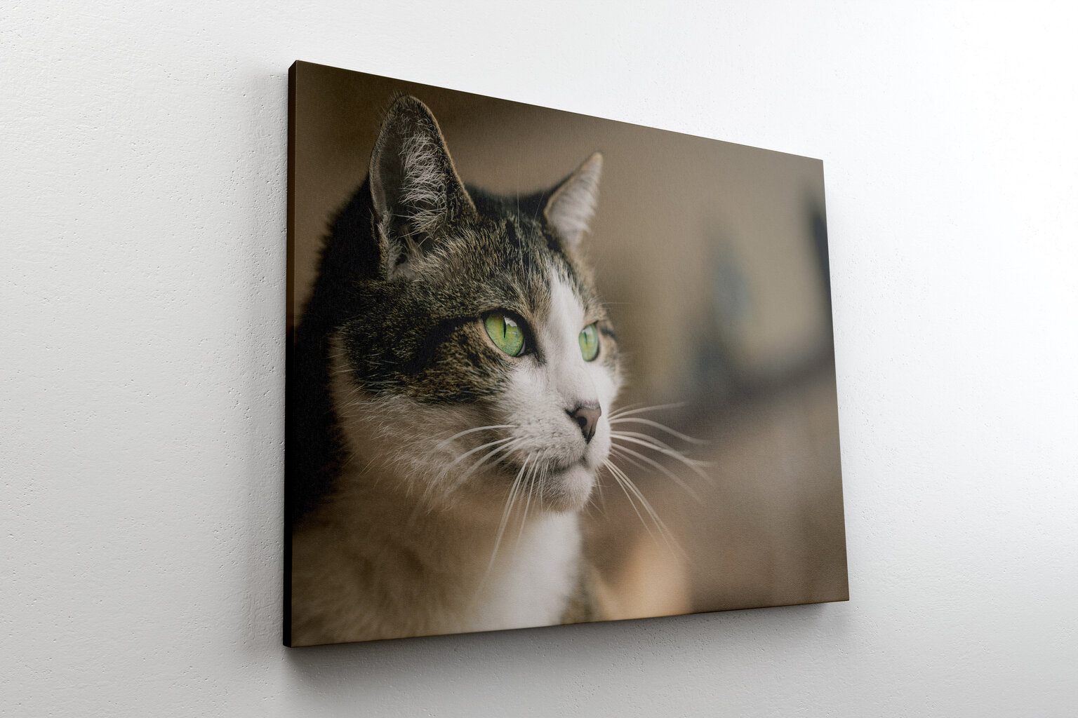 Paveikslas Katės Portretas, 30x40 cm, Wolf Kult kaina ir informacija | Reprodukcijos, paveikslai | pigu.lt