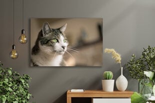 Картина Портрет кошки, 30х40 см, Wolf Kult цена и информация | Репродукции, картины | pigu.lt