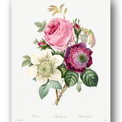 Paveikslas Vintažinės Gėlės III, 30x40 cm, Wolf Kult kaina ir informacija | Reprodukcijos, paveikslai | pigu.lt