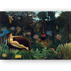 Paveikslas The Dream, Henri Rousseau, 30x40 cm, Wolf Kult kaina ir informacija | Reprodukcijos, paveikslai | pigu.lt