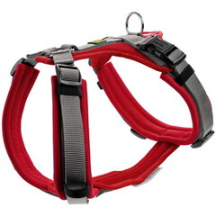 HUNTER Maldon Comfort Dog harness - XS-S цена и информация | Ошейники, подтяжки для собак | pigu.lt