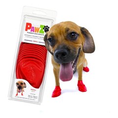 Носки для собаки Pawz, красные, размер S, 12 шт. цена и информация | Средства по уходу за животными | pigu.lt