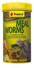 Tropical Meal Worms džiovintos lervos ropliams, 250 ml kaina ir informacija | Maistas egzotiniams gyvūnams | pigu.lt