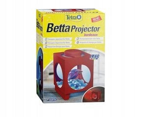 Модуль освещения аквариума Tetra Betta Projector Lighting Unit бордовый цена и информация | Аквариумы и оборудование | pigu.lt