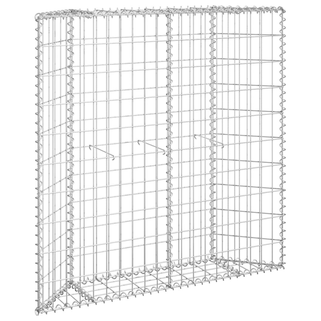 Gabiono vazonas, 100x20x100cm, galvanizuotas plienas, aukštas kaina ir informacija | Vazonėliai daiginimui ir persodinimui | pigu.lt