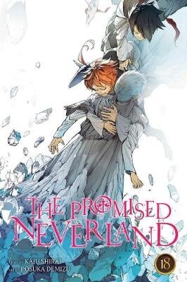Promised Neverland, Vol. 18 цена и информация | Knygos paaugliams ir jaunimui | pigu.lt