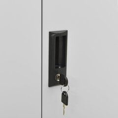 Biuro spintelė, šviesiai pilkos spalvos, 90x40x102cm, plienas цена и информация | Шкафчики в гостиную | pigu.lt