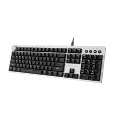 Mechanical keyboard Delux K100US (Grey) цена и информация | Клавиатуры | pigu.lt