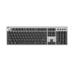 Mechanical keyboard Delux K100US (Grey) цена и информация | Клавиатуры | pigu.lt