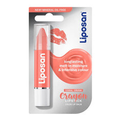 Бальзам для губ Crayon Liposan (3 г): Цвет - Hot Coral цена и информация | Помады, бальзамы, блеск для губ | pigu.lt