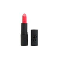 Увлажняющая помада Mia Cosmetics Paris 509-Caramel Coral (4 г) цена и информация | Помады, бальзамы, блеск для губ | pigu.lt