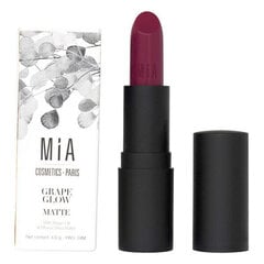 Губная помада Mia Cosmetics Paris матовый 501-Calm Camellia (4 г) цена и информация | Помады, бальзамы, блеск для губ | pigu.lt