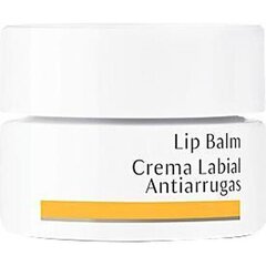 Lūpų balzamas Dr. Hauschka Lip Balm, 4.5 ml kaina ir informacija | Lūpų dažai, blizgiai, balzamai, vazelinai | pigu.lt