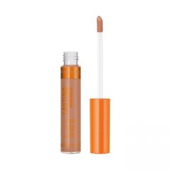 Корректор для лица Lasting Radiance Rimmel London: Цвет - 060 Каштановый цена и информация | Пудры, базы под макияж | pigu.lt