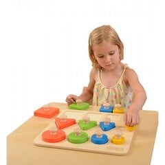Medinis „Masterkidz“ spalvų rūšiavimas kaina ir informacija | Lavinamieji žaislai | pigu.lt