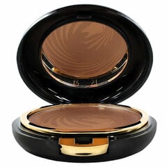 Основа под макияж в виде пудры Etre Belle Color Perfection Compact Nº 02 цена и информация | Пудры, базы под макияж | pigu.lt