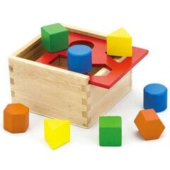 Деревянные кубики различной формы цена и информация | Развивающие игрушки | pigu.lt