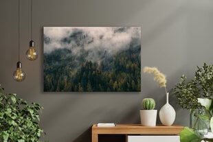 Плакат Лес в тумане, 59x84 см (A1), Wolf Kult цена и информация | Репродукции, картины | pigu.lt