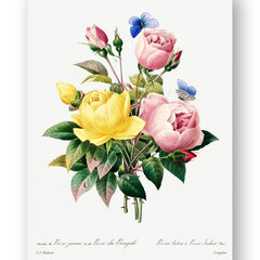Plakatas Vintažinės Gėlės II, 59x84 cm (A1), Wolf Kult kaina ir informacija | Reprodukcijos, paveikslai | pigu.lt