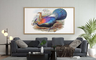 Plakatas Egzotinis Paukštis, 59x84 cm (A1), Wolf Kult kaina ir informacija | Reprodukcijos, paveikslai | pigu.lt