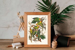 Плакат Зеленые попугаи, 59x84 см (A1), Wolf Kult цена и информация | Репродукции, картины | pigu.lt