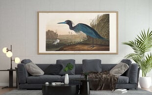Plakatas Mėlynas paukštis, 59x84 cm (A1), Wolf Kult kaina ir informacija | Reprodukcijos, paveikslai | pigu.lt