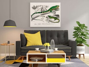 Plakatas Žalioji iguana, 59x84 cm (A1), Wolf Kult kaina ir informacija | Reprodukcijos, paveikslai | pigu.lt