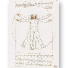 Plakatas Vitruvijaus Žmogus, Leonardo Da Vinci, 59x84 cm (A1), Wolf Kult kaina ir informacija | Reprodukcijos, paveikslai | pigu.lt