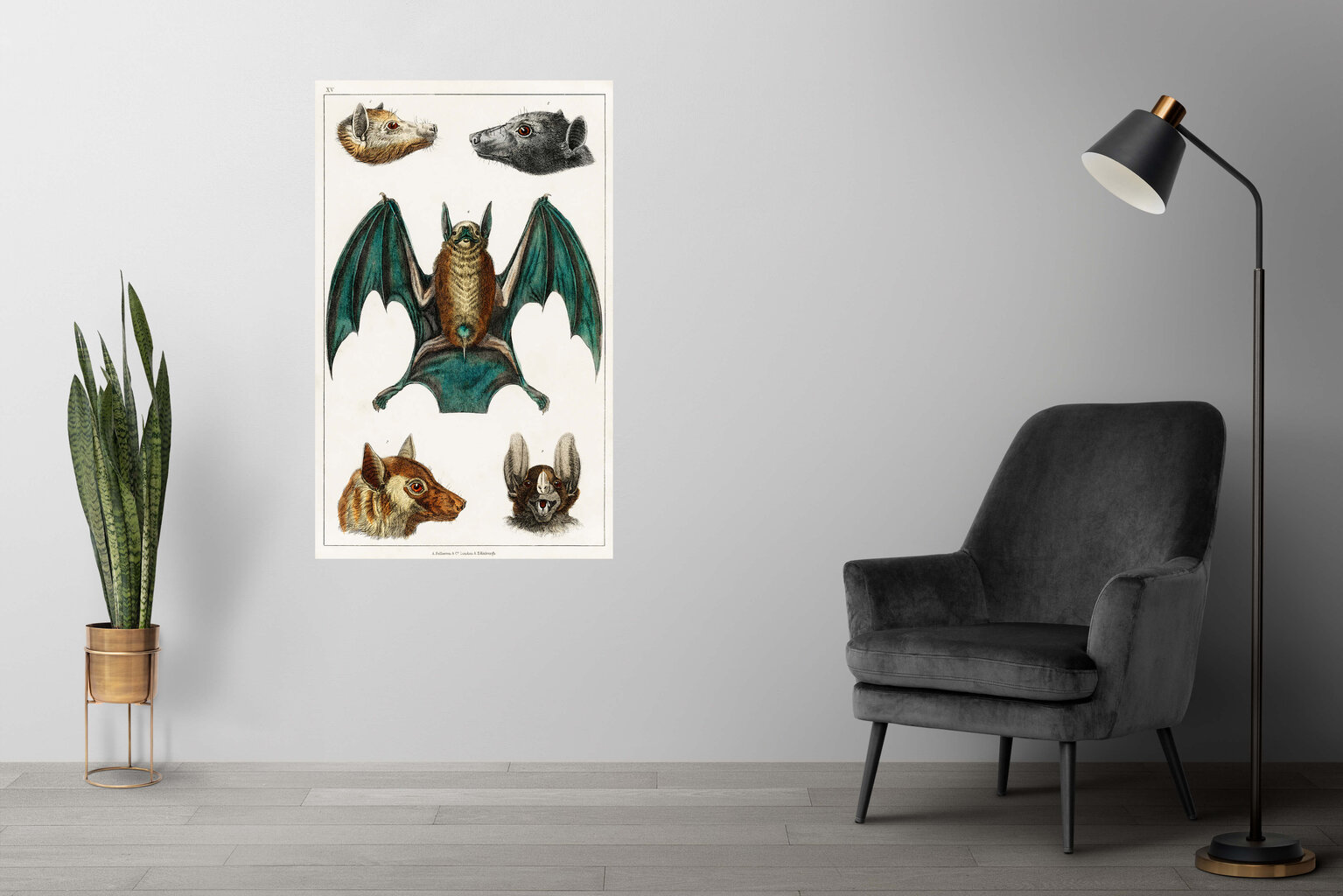 Plakatas Šikšnosparniai II, 59x84 cm (A1), Wolf Kult kaina ir informacija | Reprodukcijos, paveikslai | pigu.lt