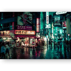 Плакат Улица Токио, 42x59 см (A2), Wolf Kult цена и информация | Репродукции, картины | pigu.lt
