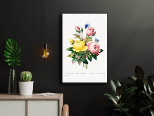 Plakatas Vintažinės Gėlės II, 42x59 cm (A2), Wolf Kult kaina ir informacija | Reprodukcijos, paveikslai | pigu.lt