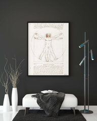 Плакат Витрувианский человек, Леонардо да Винчи, 42x59 см (А2), Wolf Kult цена и информация | Репродукции, картины | pigu.lt