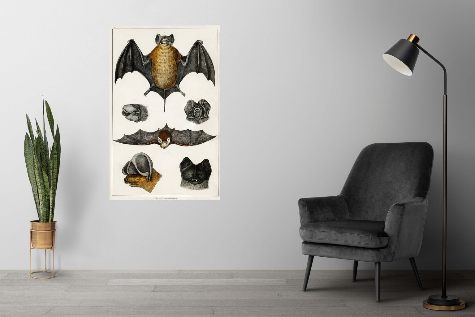 Plakatas Šikšnosparniai, 42x59 cm (A2), Wolf Kult цена и информация | Reprodukcijos, paveikslai | pigu.lt