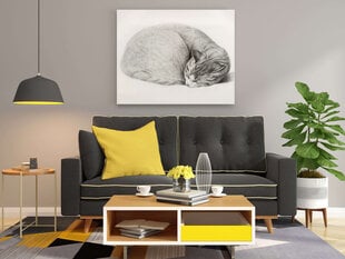 Plakatas Katės iliustracija, 42x59 cm (A2), Wolf Kult kaina ir informacija | Reprodukcijos, paveikslai | pigu.lt