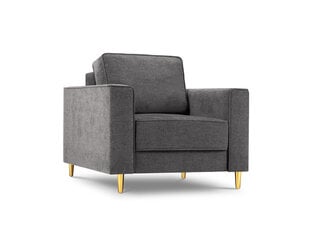 Fotelis Micadoni Home Dunas, pilkas/auksinės spalvos kaina ir informacija | Svetainės foteliai | pigu.lt