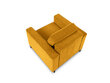 Fotelis Micadoni Home Dunas, geltonas/juodas kaina ir informacija | Svetainės foteliai | pigu.lt