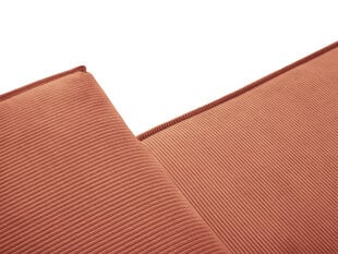 Trivietė sofa Micadoni Home Eveline, rožinė kaina ir informacija | Sofos | pigu.lt