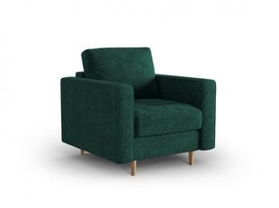 Fotelis Micadoni Home Gobi, žalias kaina ir informacija | Svetainės foteliai | pigu.lt