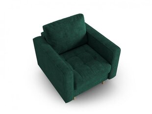 Fotelis Micadoni Home Gobi, žalias kaina ir informacija | Svetainės foteliai | pigu.lt
