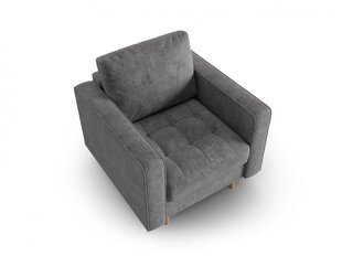 Fotelis Micadoni Home Gobi, pilkas kaina ir informacija | Svetainės foteliai | pigu.lt