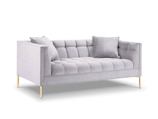 Dvivietė veliūrinė sofa Micadoni Home Karoo, sidabrinės spalvos kaina ir informacija | Sofos | pigu.lt