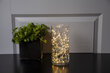 Šviesos grandinėlė "Rasos lašai" 100 LED lempučių, Šiltai balta, ilgis 5m, IP20 kaina ir informacija | Girliandos | pigu.lt
