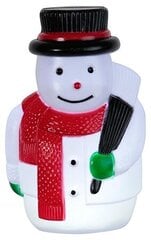 Snowman 5 LED, 18 x 28 cm, laikmatis (6 + 18h ciklas), maitinamas baterijomis (3xAA, neįeina), įstumiamas, IP44 kaina ir informacija | Kalėdinės dekoracijos | pigu.lt