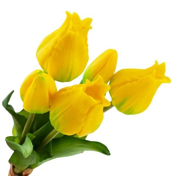 Dirbtinės tulpės, 5 vnt., geltonos kaina ir informacija | Interjero detalės | pigu.lt