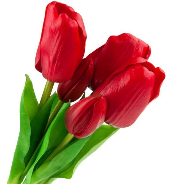 Dirbtinės tulpės, 5 vnt., raudonos kaina ir informacija | Interjero detalės | pigu.lt