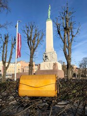 Уникальная деревянная сумочка для женщин желтого цвета цена и информация | Женская сумка Bugatti | pigu.lt