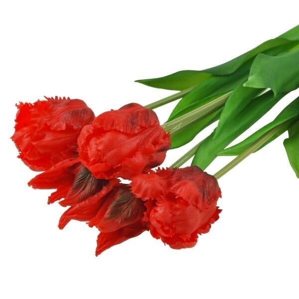 Dirbtinės tulpės Parrot, 5 vnt., raudonos kaina ir informacija | Interjero detalės | pigu.lt