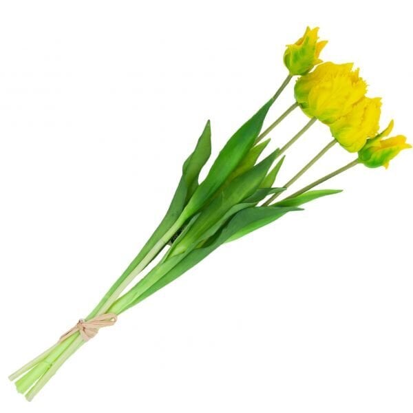 Dirbtinės tulpės Parrot, 5 vnt., geltonos kaina ir informacija | Interjero detalės | pigu.lt