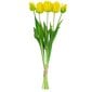 Dirbtinės tulpės Parrot, 5 vnt., geltonos kaina ir informacija | Interjero detalės | pigu.lt