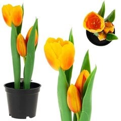 Dirbtinės tulpės vazonėlyje, oranžinės kaina ir informacija | Interjero detalės | pigu.lt
